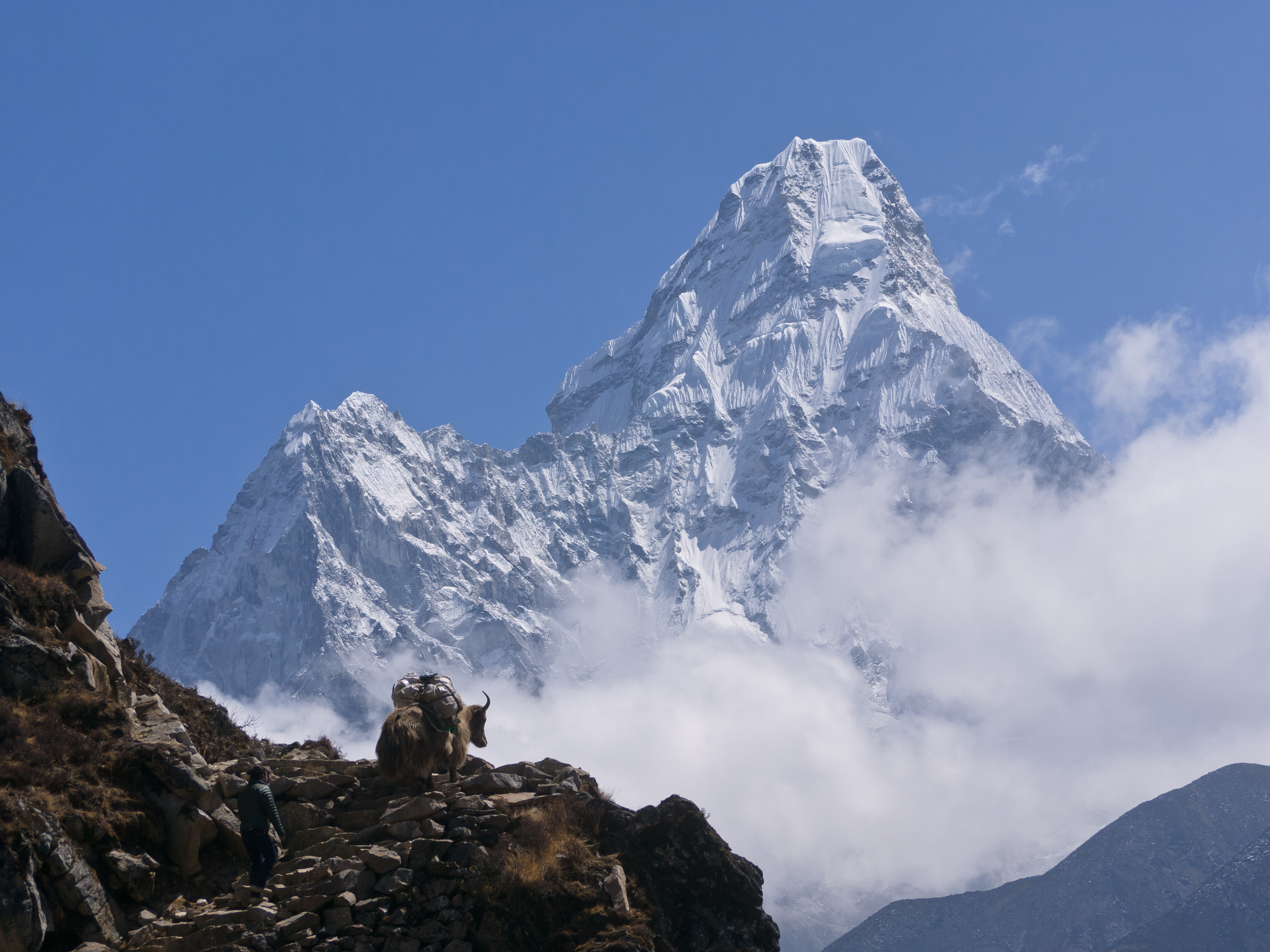Ama Dablam Base Camp Trek